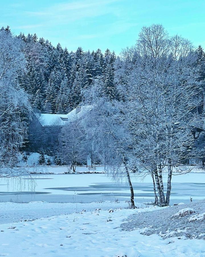 سيفيلد ان تيرول Lakeside Apartments Seefeld المظهر الخارجي الصورة