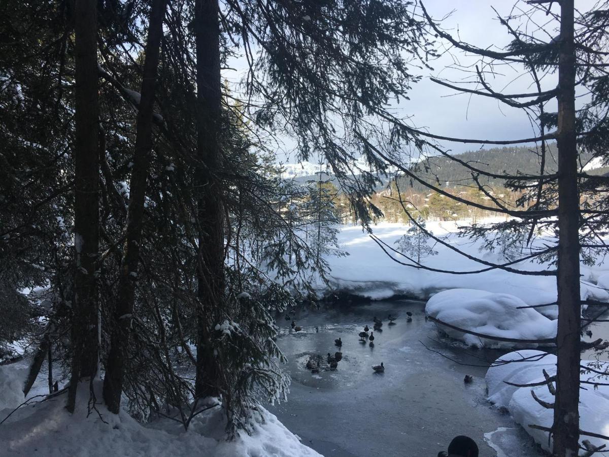 سيفيلد ان تيرول Lakeside Apartments Seefeld المظهر الخارجي الصورة